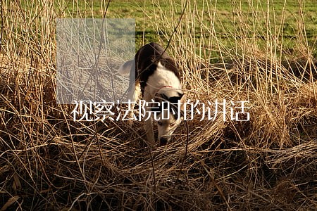 视察法院时的讲话 视察法院时的讲话
