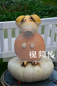 视频传播者或面临法律处罚 视频传播者或面临法律处罚