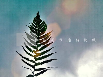 视频信用卡逾期视频 视频信用卡逾期视频