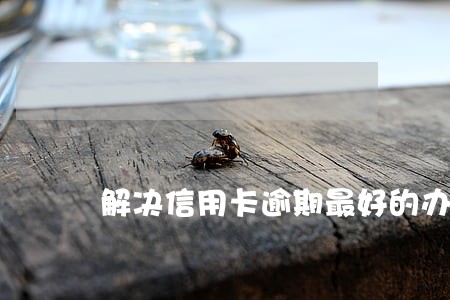 解决信用卡逾期最好的办法 解决信用卡逾期最好的办法