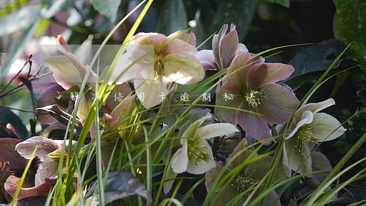 解决信用卡逾期秘诀