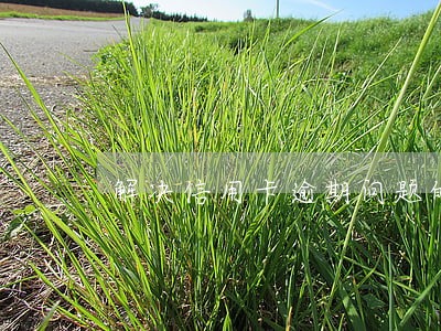 解决信用卡逾期问题的公司 解决信用卡逾期问题的公司