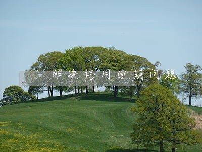 解决信用逾期问题 解决信用逾期问题