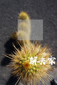解决家庭纠纷找哪里 解决家庭纠纷找哪里
