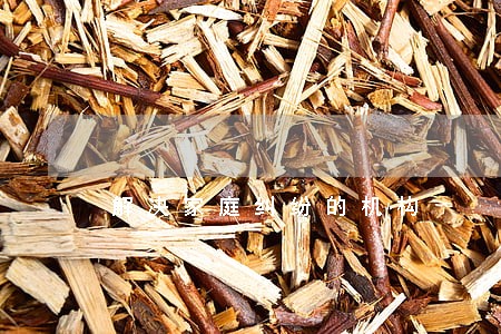 解决家庭纠纷的机构 解决家庭纠纷的机构