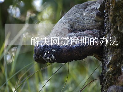 解决网贷逾期的办法 解决网贷逾期的办法