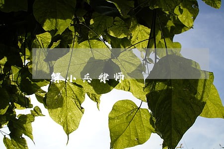 解小兵律师 解小兵律师