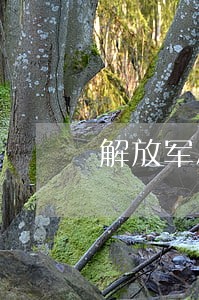 解放军总直属法院在哪儿