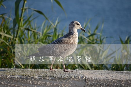 解放军法院管辖 解放军法院管辖