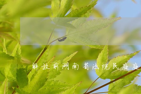 解放前湖南省法院民庭庭长 解放前湖南省法院民庭庭长