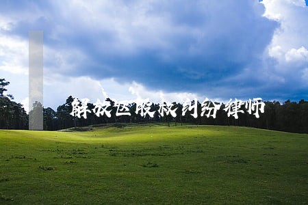 解放区股权纠纷律师 解放区股权纠纷律师