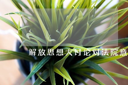 解放思想大讨论对法院意见建议 解放思想大讨论对法院意见建议
