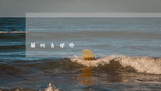 解树青律师 解树青律师
