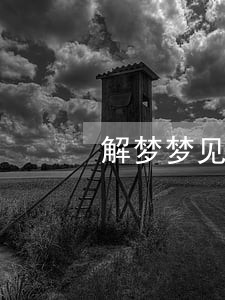 解梦梦见自己当律师 解梦梦见自己当律师