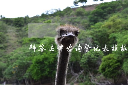解答法律咨询登记表模板 解答法律咨询登记表模板