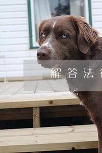 解答法律咨询话术 解答法律咨询话术