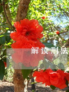 解读刑法时间适用范围 解读刑法时间适用范围