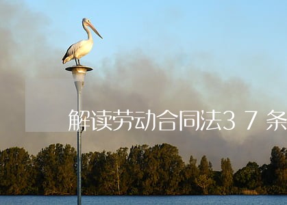 解读劳动合同法37条 解读劳动合同法37条