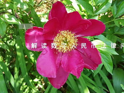 解读数字人民币法律问题 解读数字人民币法律问题