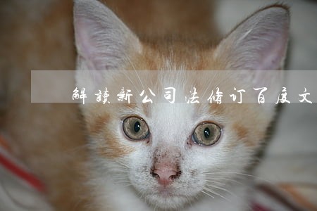 解读新公司法修订百度文库 解读新公司法修订百度文库