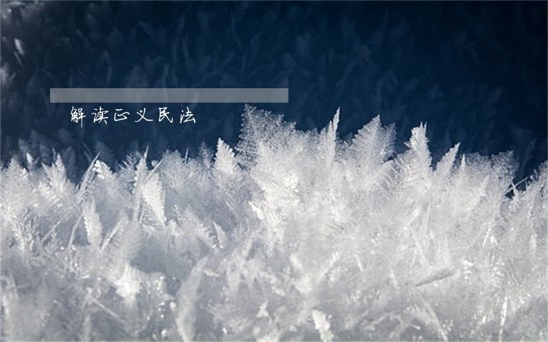 解读正义民法 解读正义民法