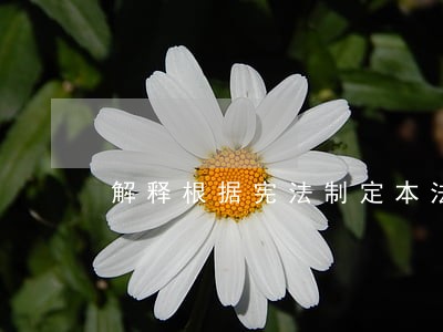 解释根据宪法制定本法 解释根据宪法制定本法