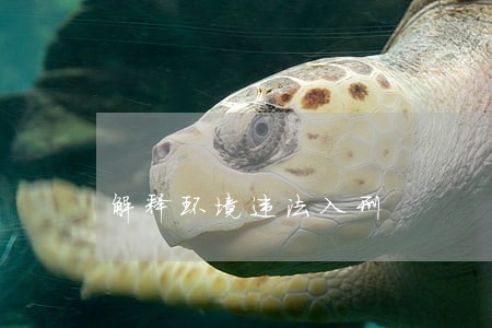 解释环境违法入刑 解释环境违法入刑