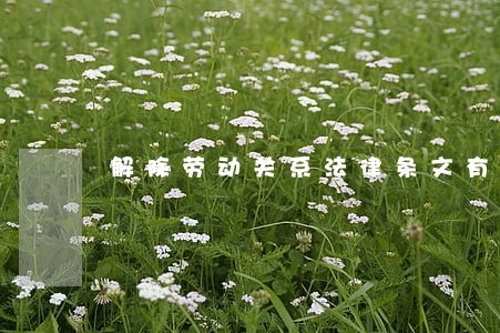 解除劳动关系法律条文有哪些 解除劳动关系法律条文有哪些