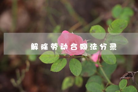 解除劳动合同法分录 解除劳动合同法分录