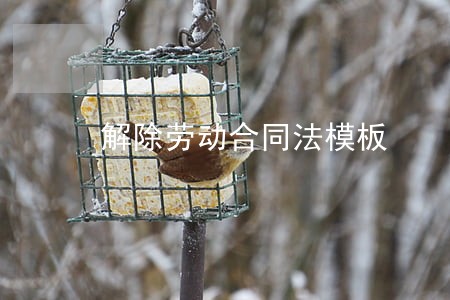 解除劳动合同法模板 解除劳动合同法模板