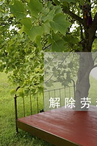 解除劳动合同法民主 解除劳动合同法民主