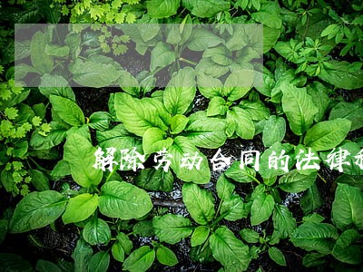 解除劳动合同的法律程序违法