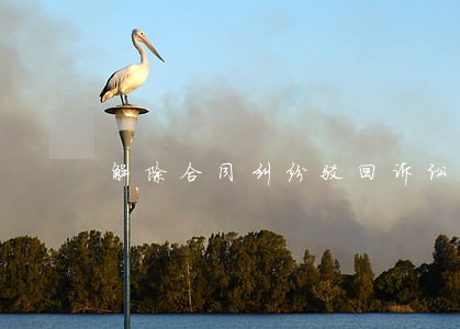 解除合同纠纷驳回诉讼请求 解除合同纠纷驳回诉讼请求