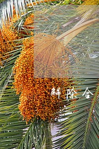 解除合同退还货款由哪里法院管辖