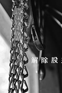 解除股东资格后代表诉讼 解除股东资格后代表诉讼