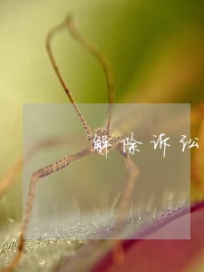解除诉讼保全提供担保 解除诉讼保全提供担保