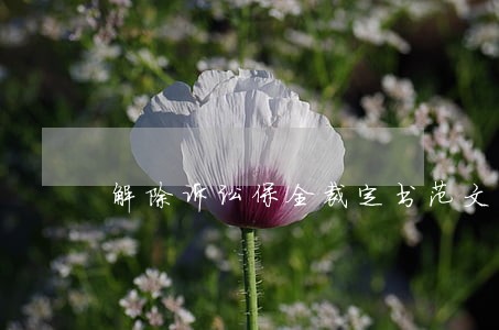 解除诉讼保全裁定书范文 解除诉讼保全裁定书范文