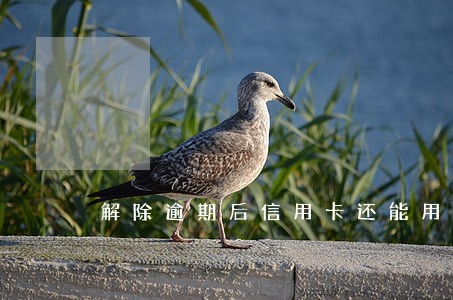 解除逾期后信用卡还能用 解除逾期后信用卡还能用