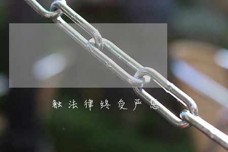 触法律终受严惩 触法律终受严惩