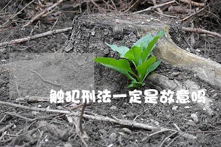 触犯刑法一定是故意吗 触犯刑法一定是故意吗