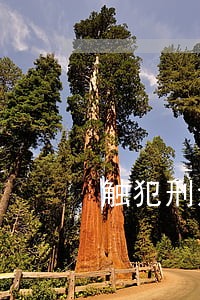 触犯刑法的判定标准