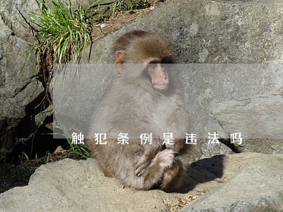 触犯条例是违法吗 触犯条例是违法吗