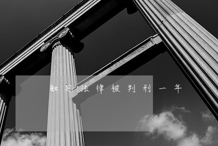 触犯法律被判刑一年 触犯法律被判刑一年