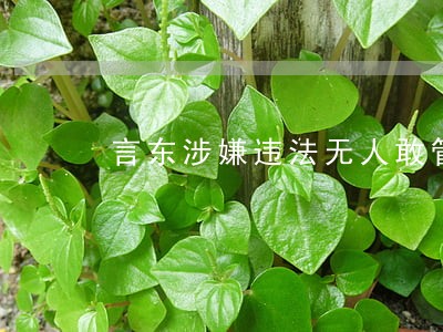言东涉嫌违法无人敢管 言东涉嫌违法无人敢管