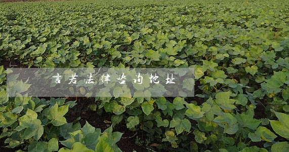 言若法律咨询地址 言若法律咨询地址