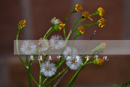 詹道美中央警官学院