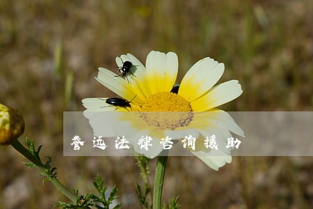 誉远法律咨询援助 誉远法律咨询援助