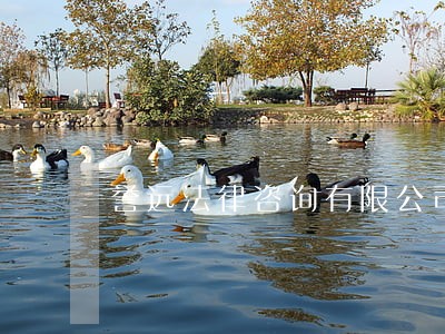 誉远法律咨询有限公司 誉远法律咨询有限公司