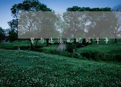 誓与违法乱纪做斗争