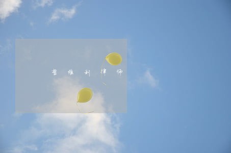 誓维利律师